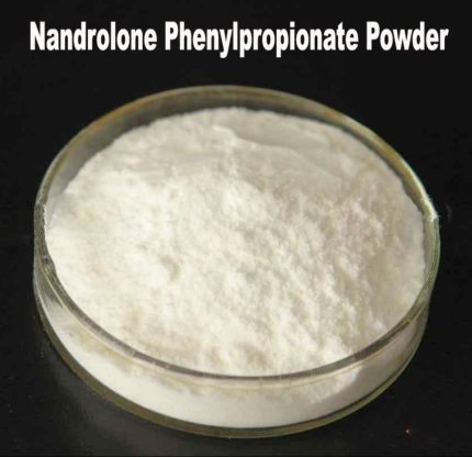 nandrolone-phenylpropionate-powder